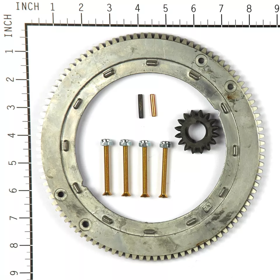 Briggs and Stratton 696537 Ring Gear Outdoor Power Direct (19633)